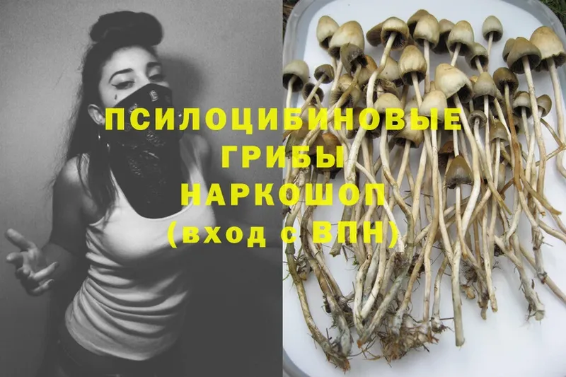 Псилоцибиновые грибы Magic Shrooms  OMG как зайти  Прохладный 